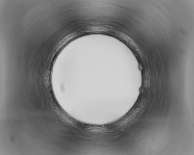 X0000110860786200907301351