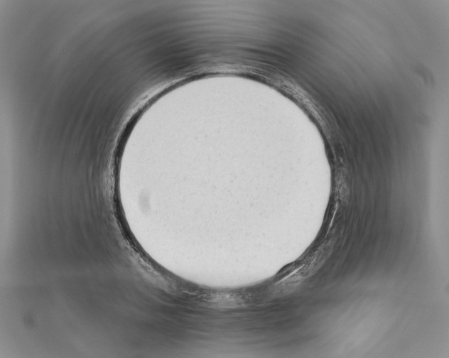 X0000110860787200907301351