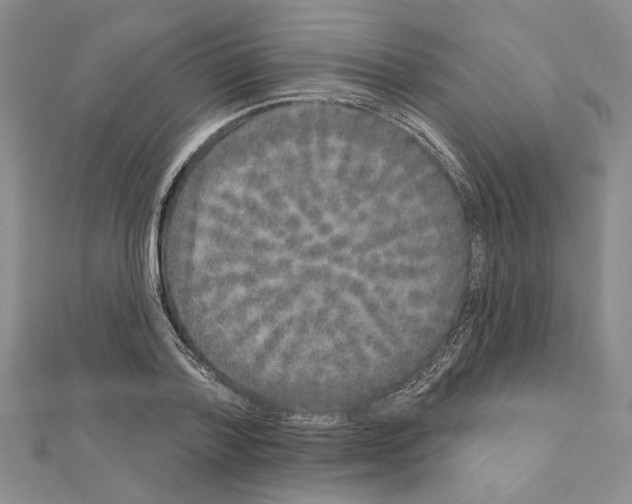 X0000110860788200907301351