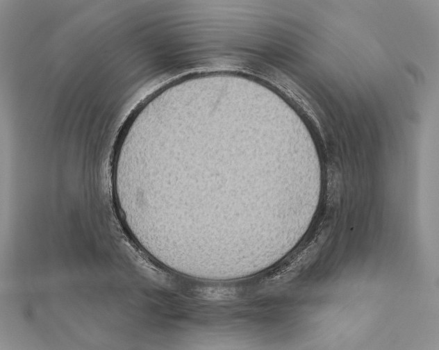 X0000110860789200907301351