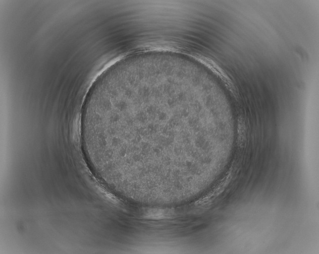X0000110860790200907301351