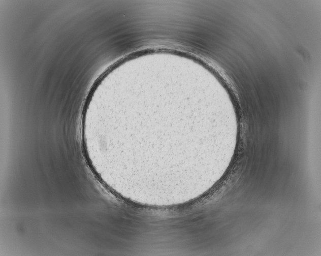X0000110860791200907301351