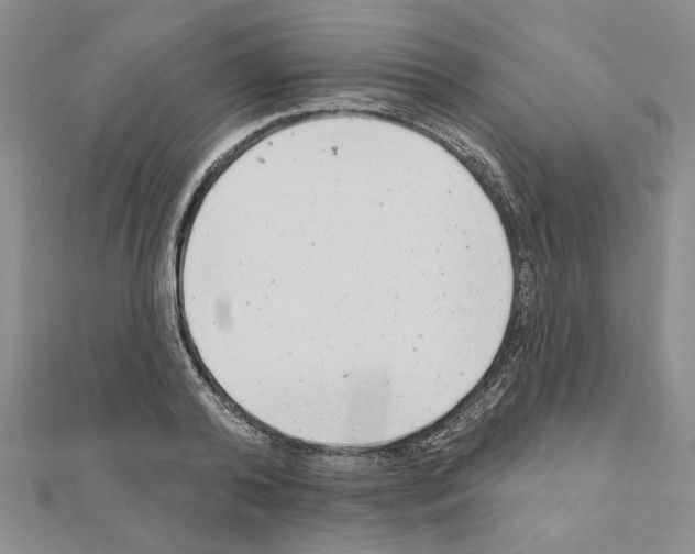 X0000110860792200907301351