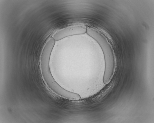 X0000110860793200907301351