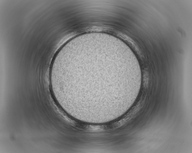 X0000110860794200907301351