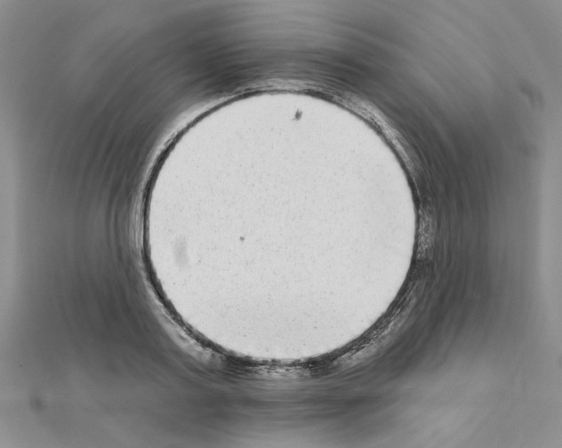 X0000110860795200907301351