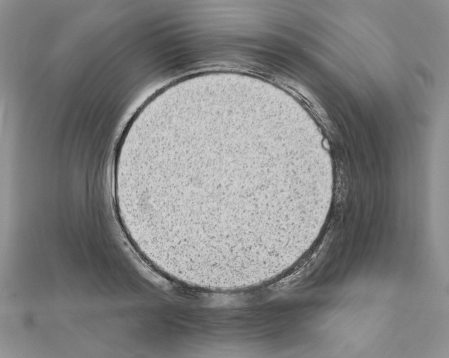 X0000110860796200907301351
