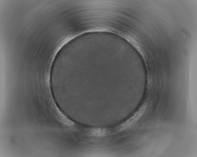 X0000110860797200907301351