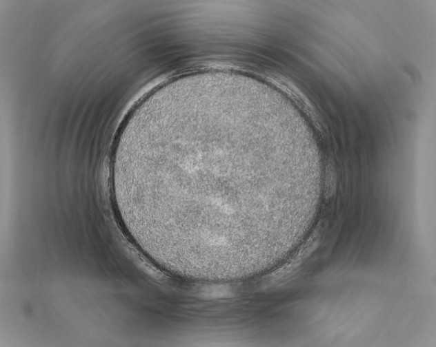 X0000110860798200907301351