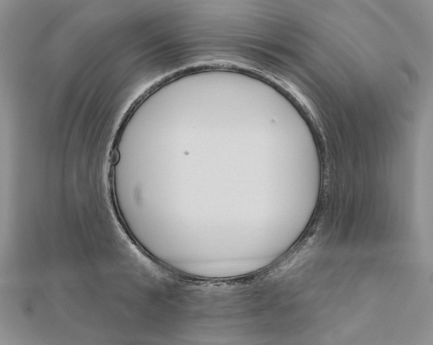 X0000110860799200907301351