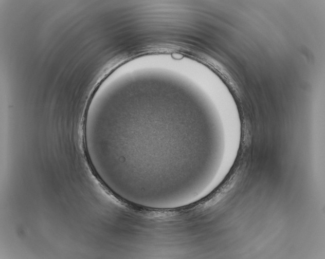 X0000110860802200907301351