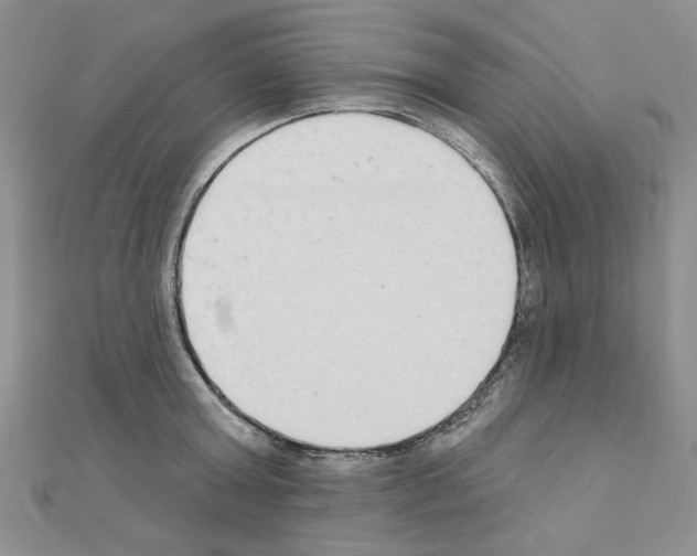 X0000110860803200907301351