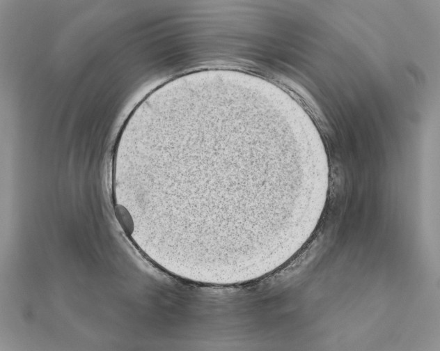 X0000110860804200907301351