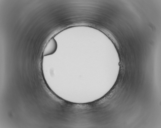 X0000110860805200907301351