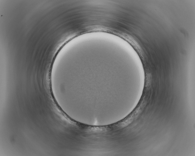 X0000110860806200907301351