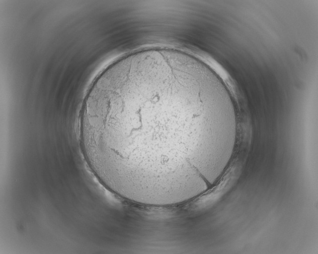 X0000110860807200907301351