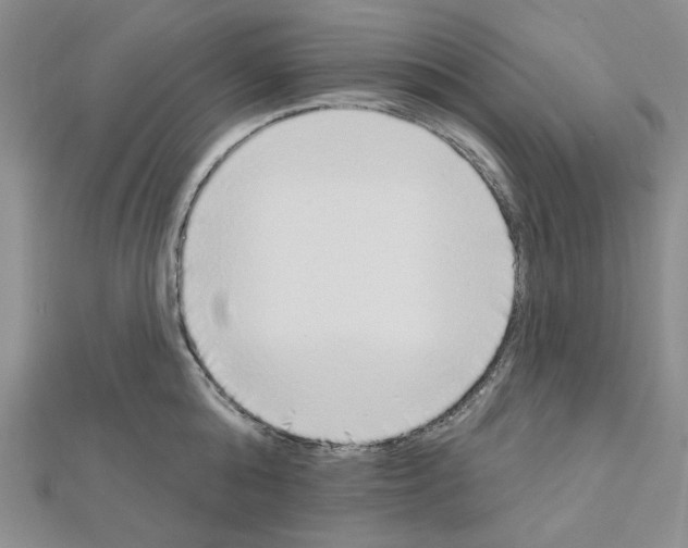 X0000110860808200907301351