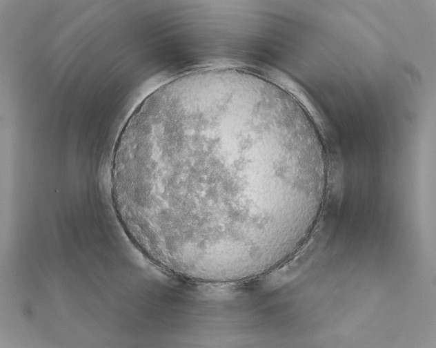 X0000110860810200907301351