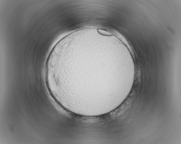 X0000110860811200907301351