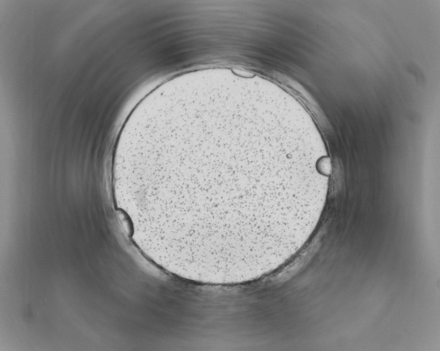 X0000110860812200907301351