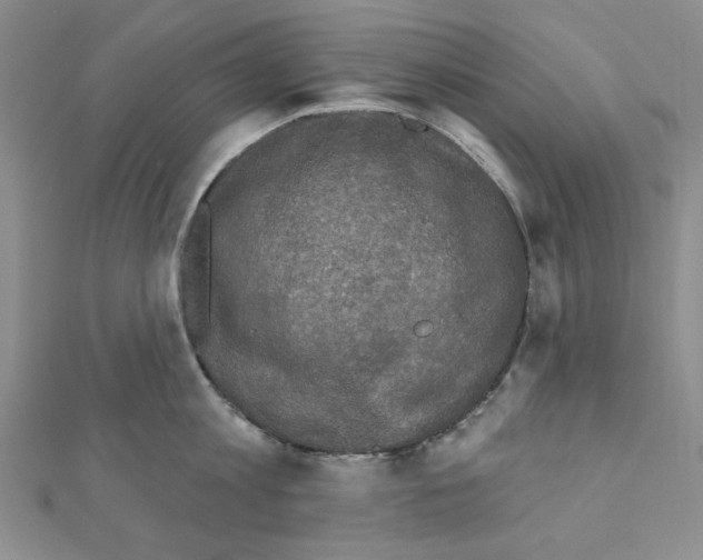 X0000110860813200907301350
