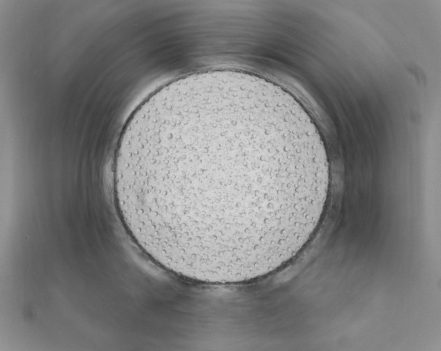 X0000110860814200907301350