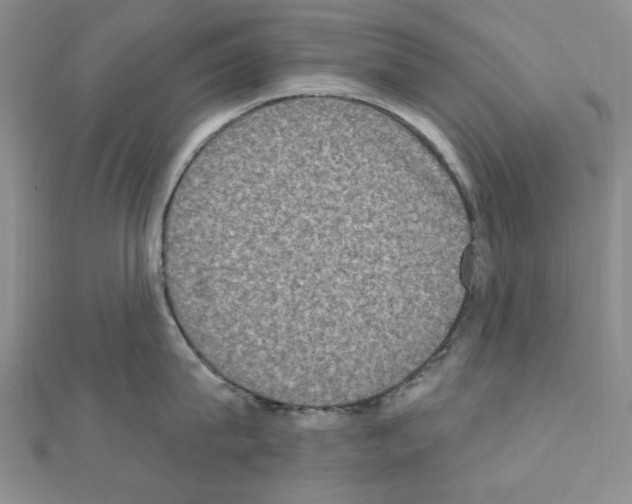 X0000110860815200907301350