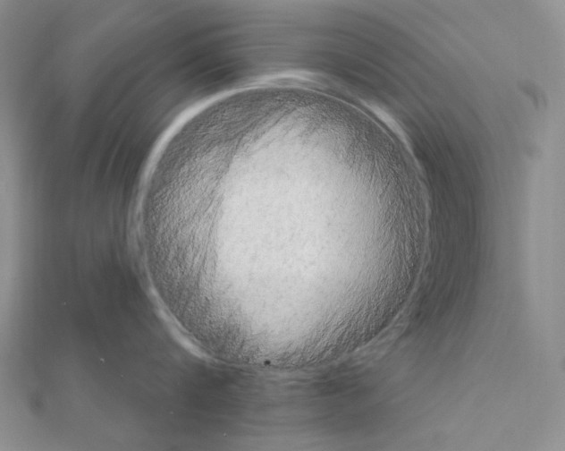X0000110860816200907301350