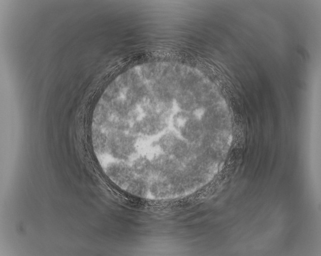 X0000110860817200907301350