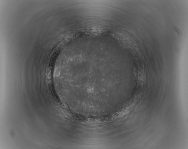 X0000110860818200907301350