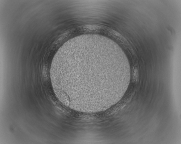 X0000110860819200907301350