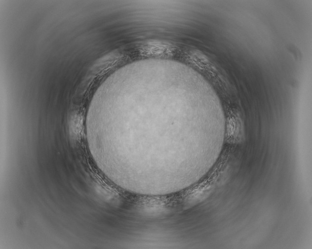 X0000110860820200907301350