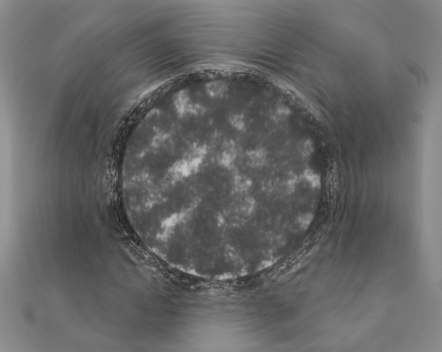 X0000110860822200907301350