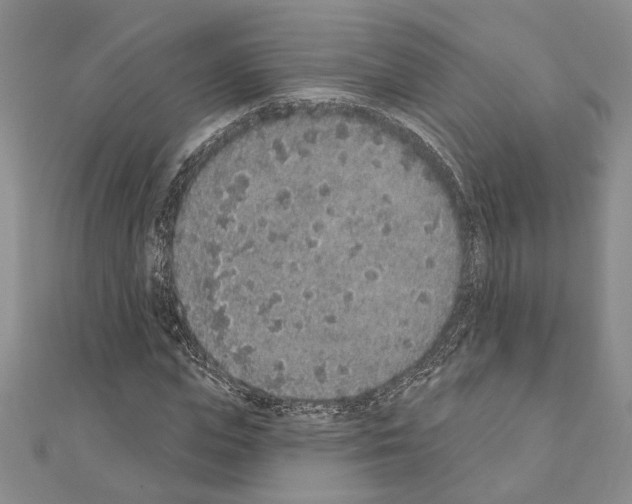 X0000110860823200907301350