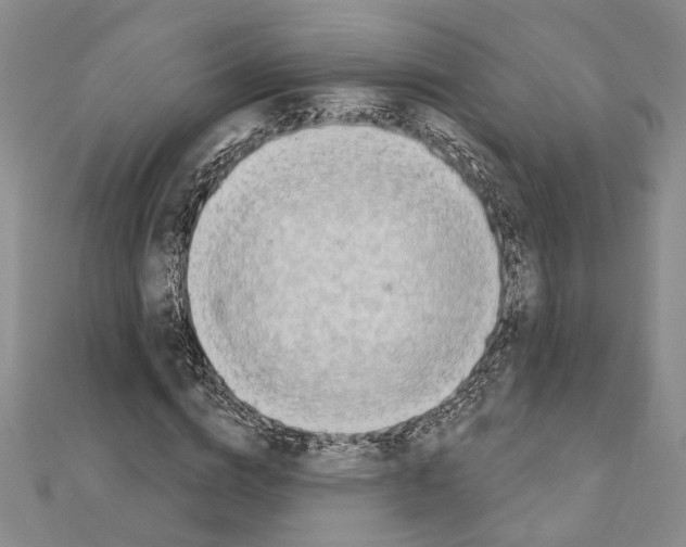 X0000110860824200907301350