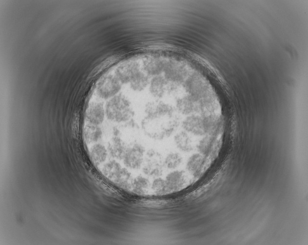 X0000110860825200907301350