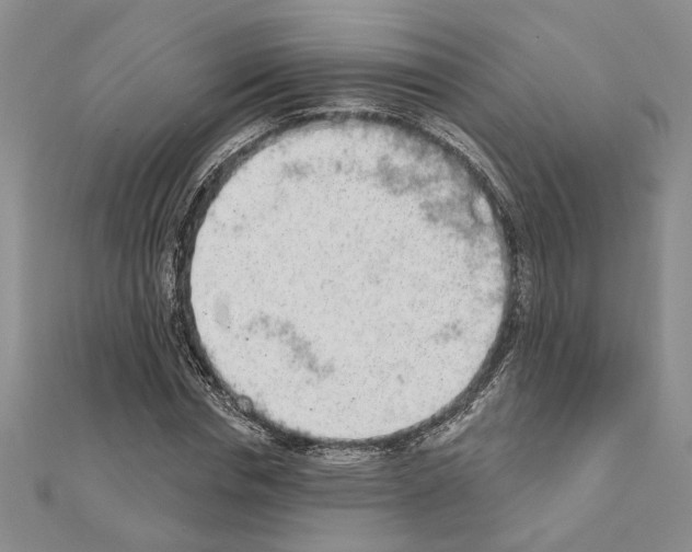 X0000110860826200907301350