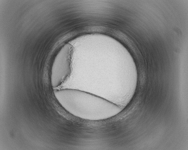 X0000110860827200907301350