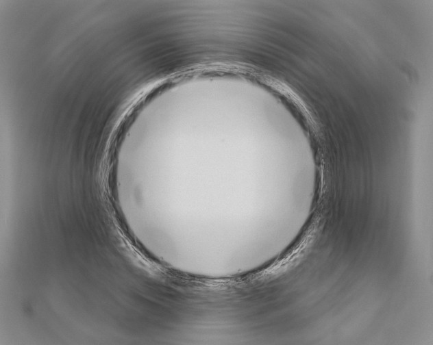 X0000110860828200907301350