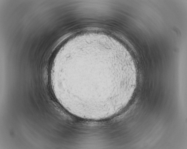 X0000110860829200907301350