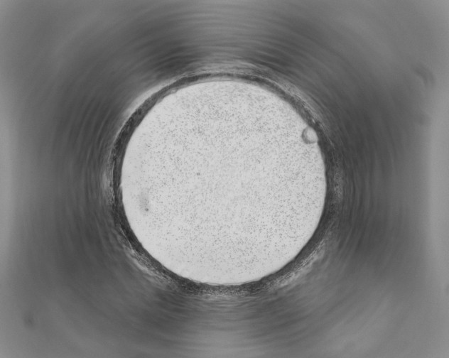 X0000110860830200907301350