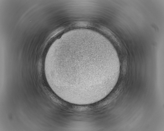 X0000110860831200907301350