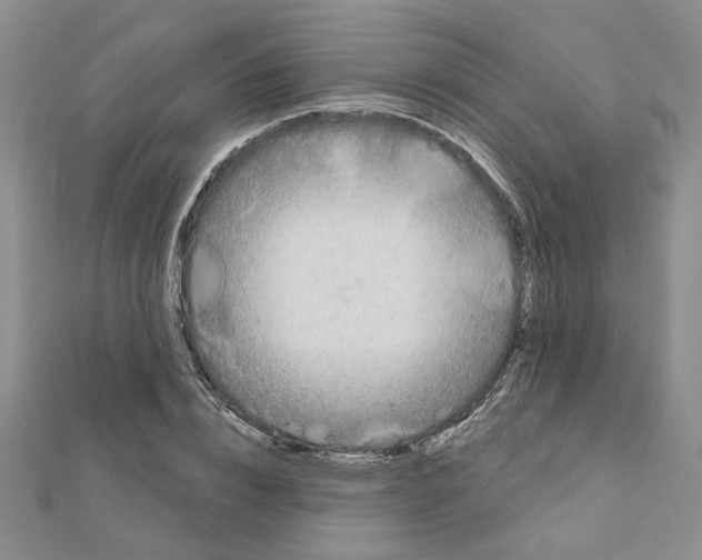 X0000110860832200907301350