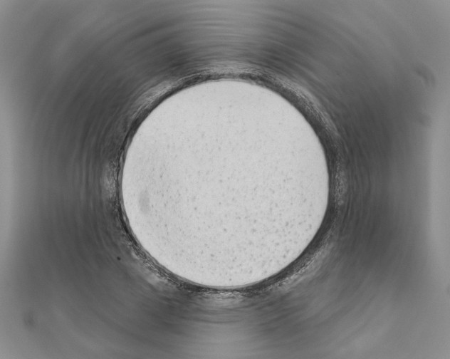 X0000110860833200907301350