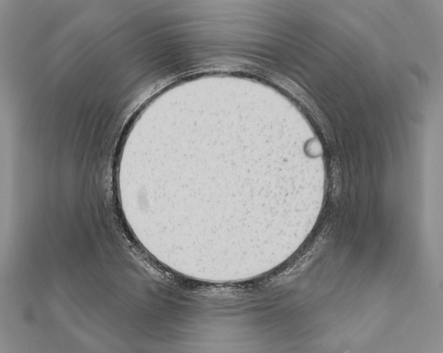 X0000110860834200907301350