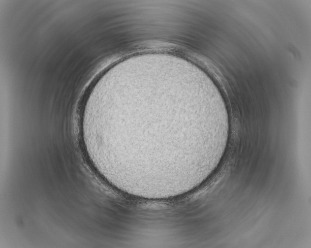 X0000110860835200907301350