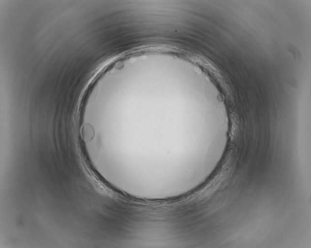 X0000110860836200907301350