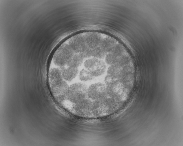 X0000110860837200907301350