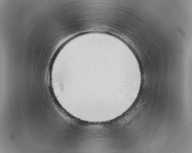 X0000110860838200907301350