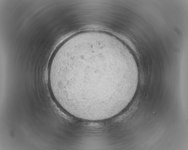 X0000110860839200907301350